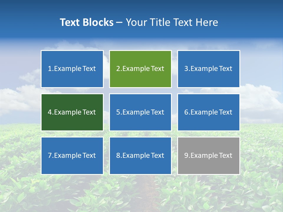Fast Food Pernicious Balance PowerPoint Template