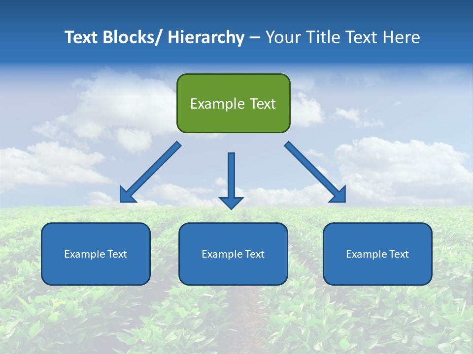 Fast Food Pernicious Balance PowerPoint Template