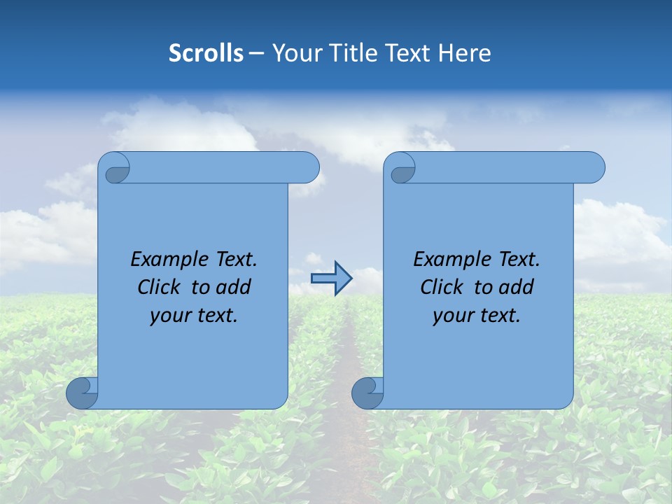 Fast Food Pernicious Balance PowerPoint Template