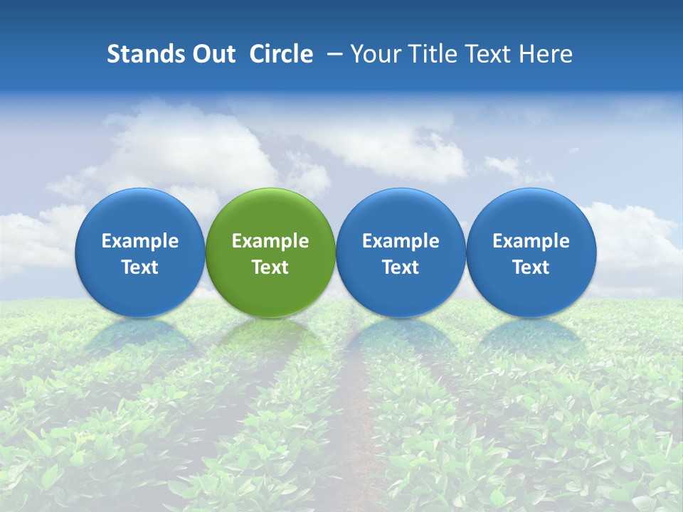 Fast Food Pernicious Balance PowerPoint Template