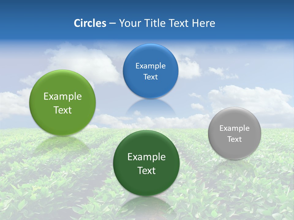 Fast Food Pernicious Balance PowerPoint Template