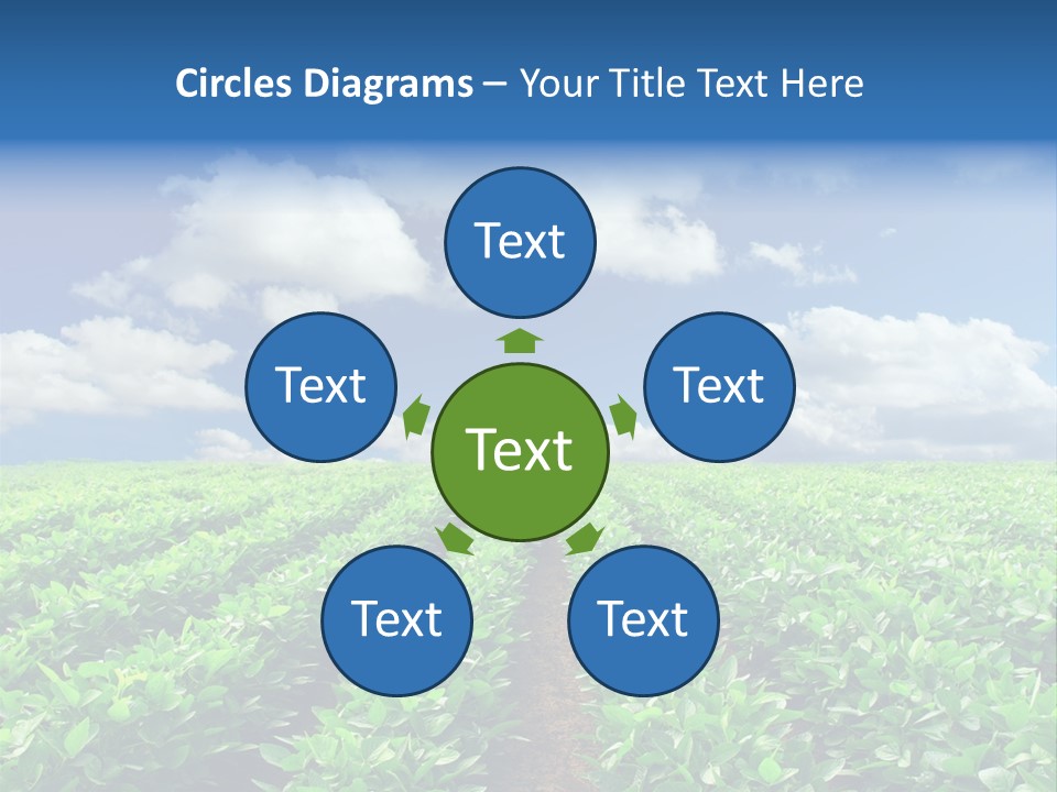 Fast Food Pernicious Balance PowerPoint Template