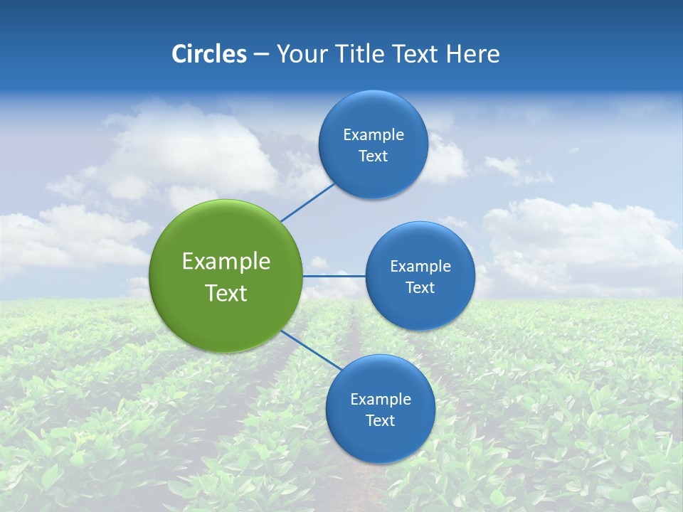 Fast Food Pernicious Balance PowerPoint Template