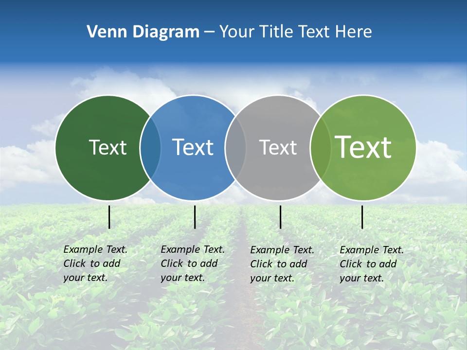Fast Food Pernicious Balance PowerPoint Template