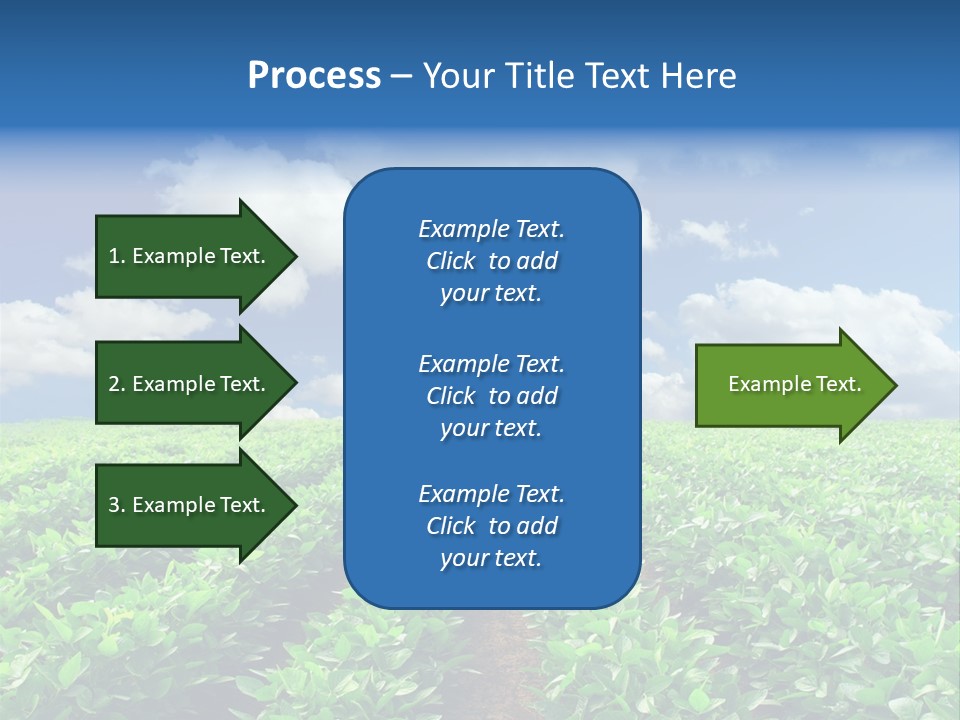 Fast Food Pernicious Balance PowerPoint Template