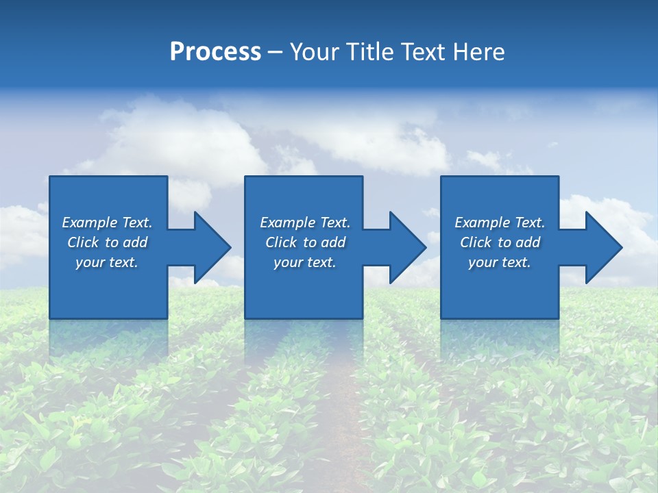 Fast Food Pernicious Balance PowerPoint Template