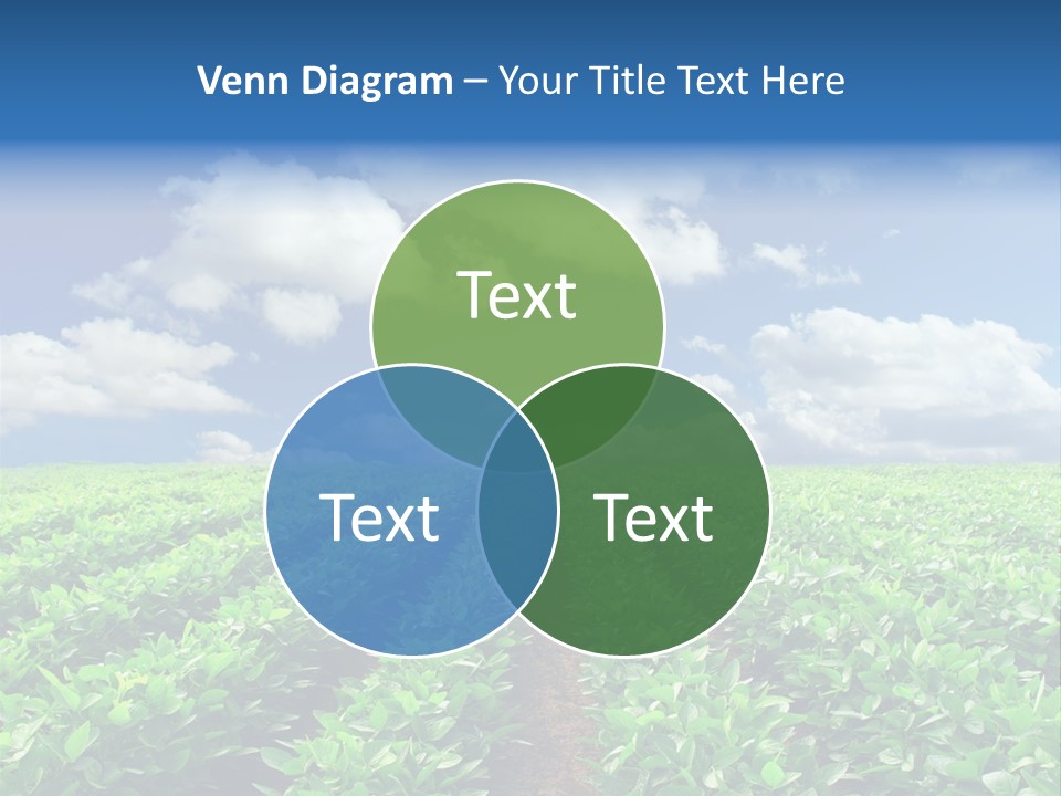 Fast Food Pernicious Balance PowerPoint Template