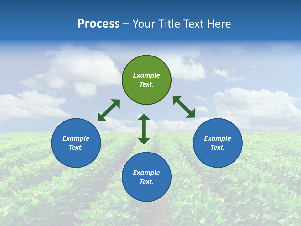 Fast Food Pernicious Balance PowerPoint Template