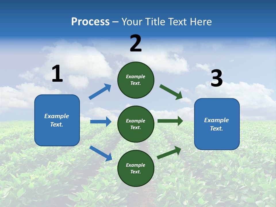 Fast Food Pernicious Balance PowerPoint Template