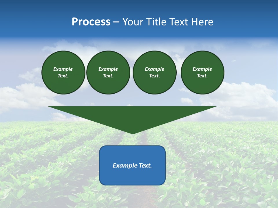Fast Food Pernicious Balance PowerPoint Template