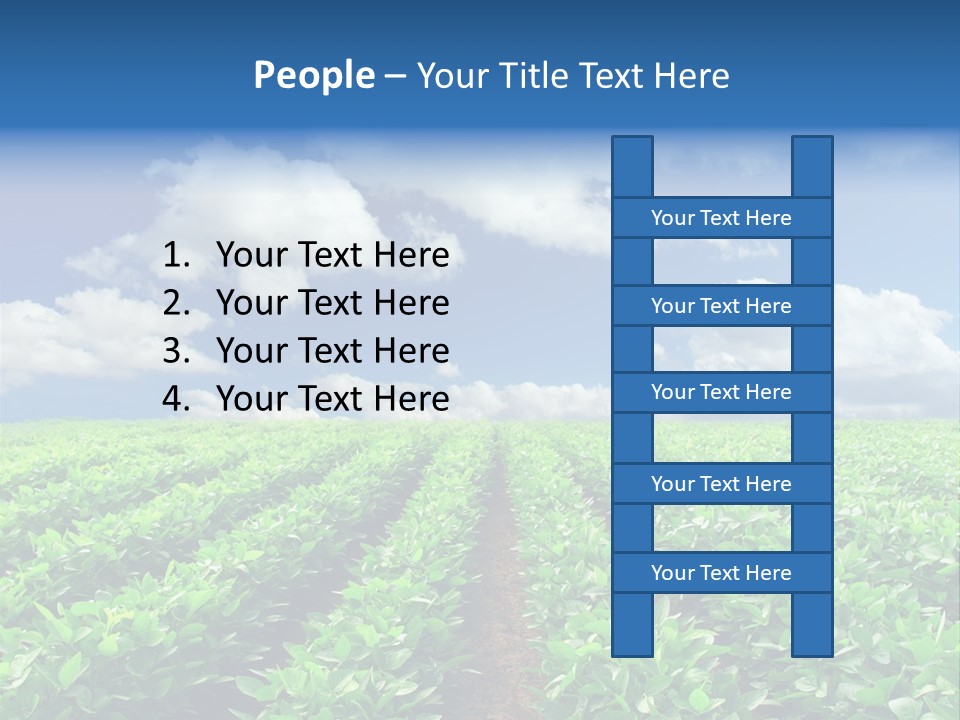 Fast Food Pernicious Balance PowerPoint Template