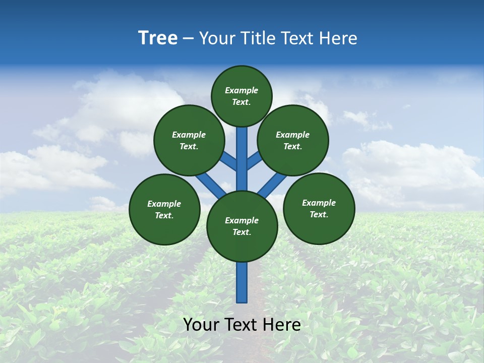 Fast Food Pernicious Balance PowerPoint Template