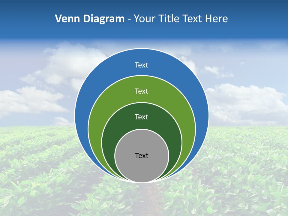 Fast Food Pernicious Balance PowerPoint Template