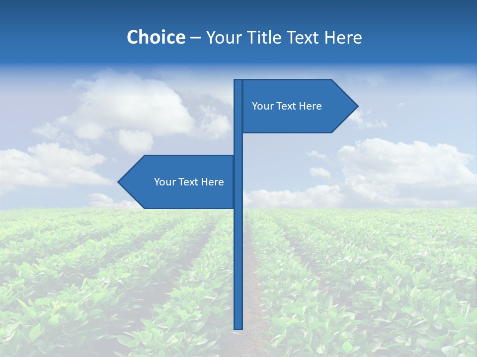 Fast Food Pernicious Balance PowerPoint Template