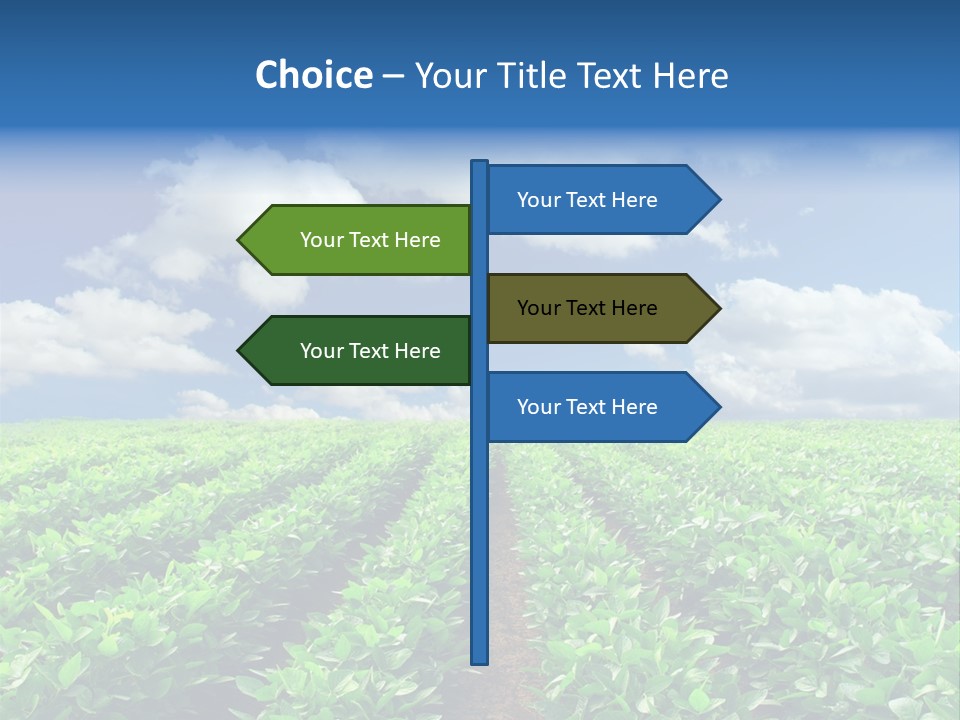Fast Food Pernicious Balance PowerPoint Template