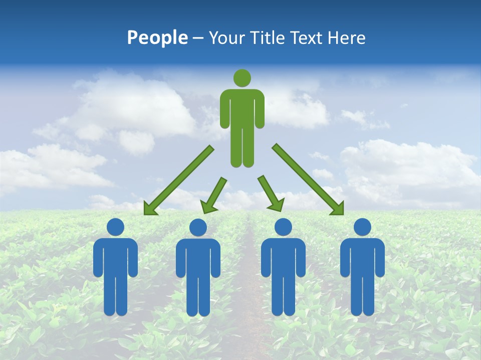 Fast Food Pernicious Balance PowerPoint Template