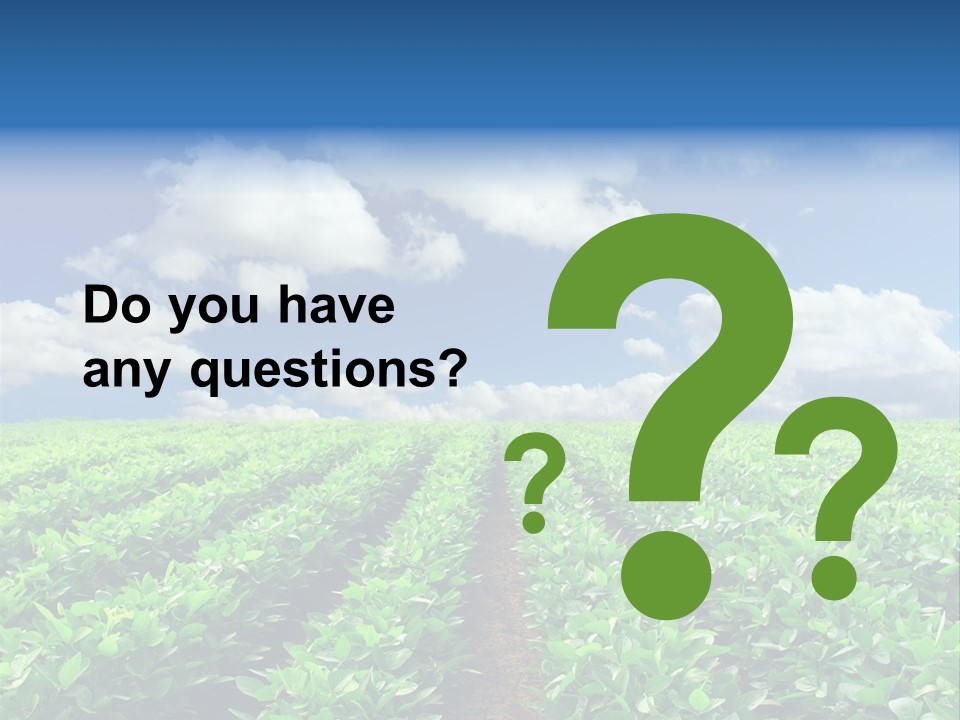 Fast Food Pernicious Balance PowerPoint Template