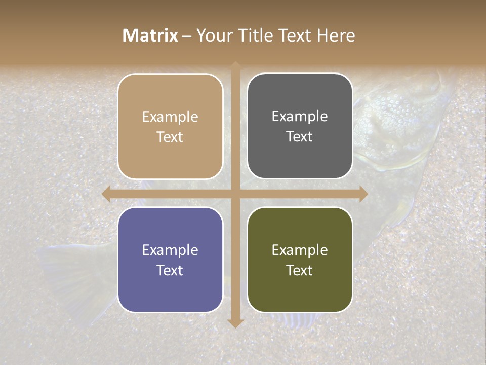 A Fish On The Sand With A Name Of Presentation PowerPoint Template