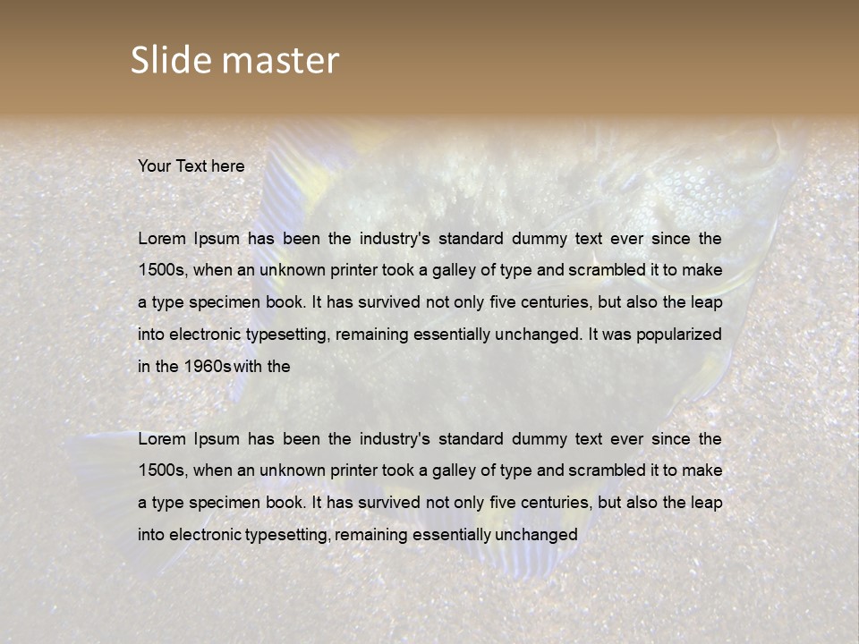 A Fish On The Sand With A Name Of Presentation PowerPoint Template