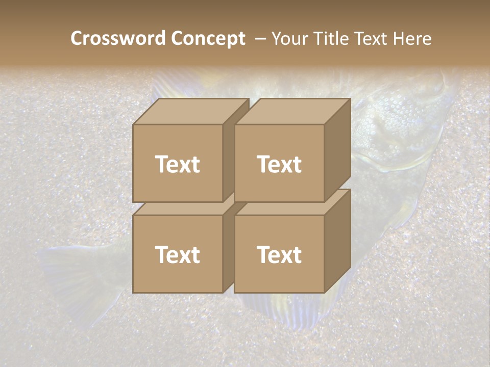 A Fish On The Sand With A Name Of Presentation PowerPoint Template