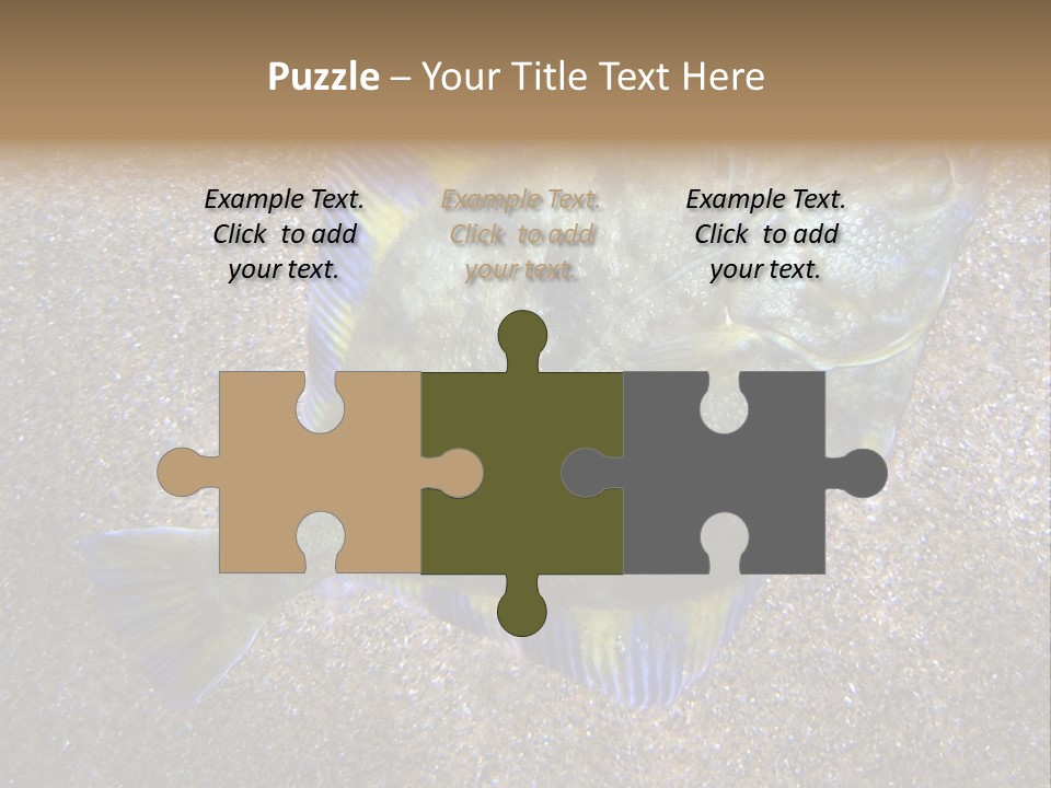 A Fish On The Sand With A Name Of Presentation PowerPoint Template