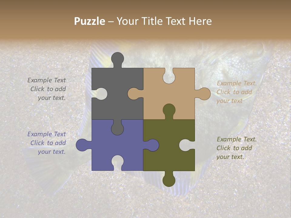 A Fish On The Sand With A Name Of Presentation PowerPoint Template