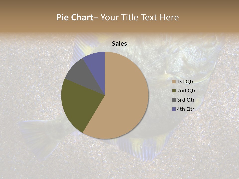 A Fish On The Sand With A Name Of Presentation PowerPoint Template