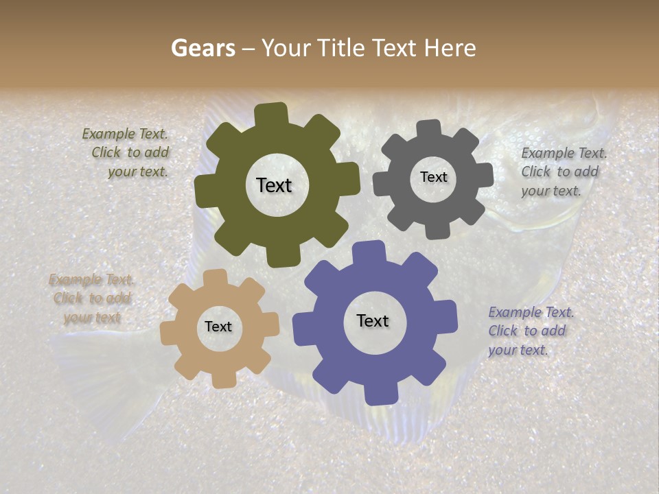 A Fish On The Sand With A Name Of Presentation PowerPoint Template