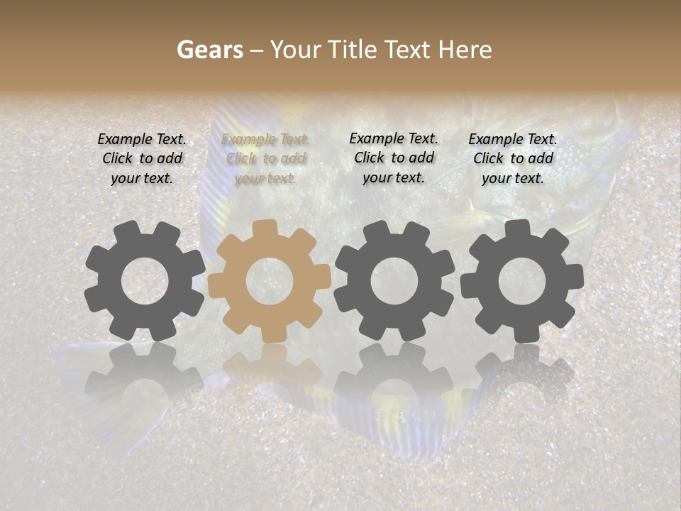 A Fish On The Sand With A Name Of Presentation PowerPoint Template