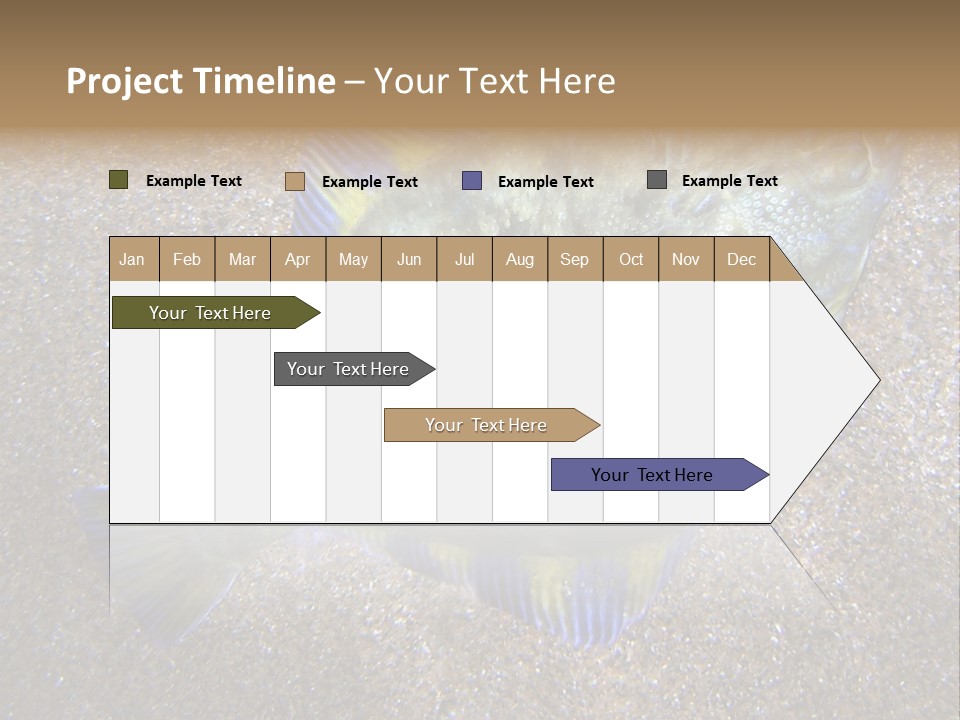 A Fish On The Sand With A Name Of Presentation PowerPoint Template
