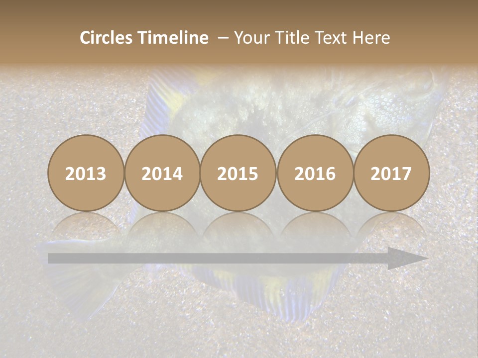 A Fish On The Sand With A Name Of Presentation PowerPoint Template