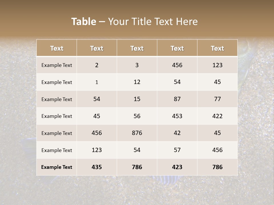 A Fish On The Sand With A Name Of Presentation PowerPoint Template