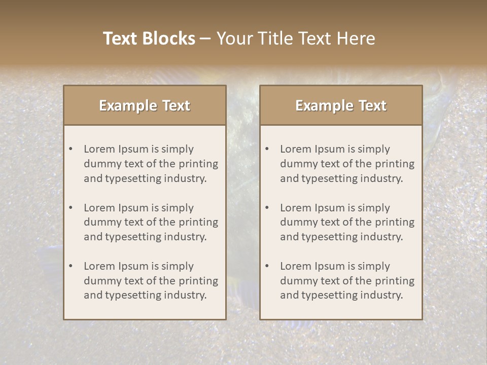 A Fish On The Sand With A Name Of Presentation PowerPoint Template