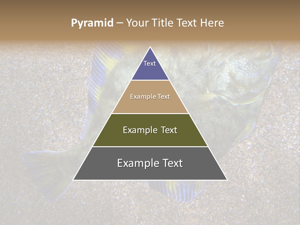 A Fish On The Sand With A Name Of Presentation PowerPoint Template