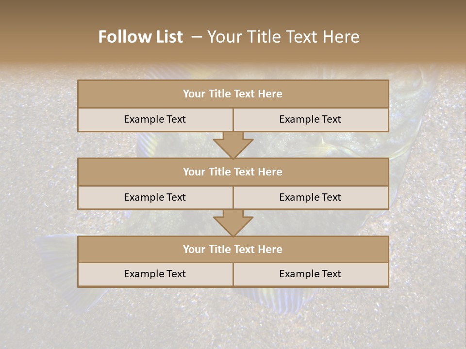 A Fish On The Sand With A Name Of Presentation PowerPoint Template