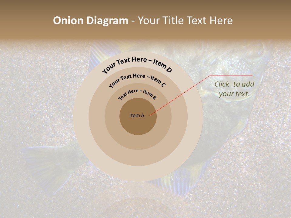 A Fish On The Sand With A Name Of Presentation PowerPoint Template