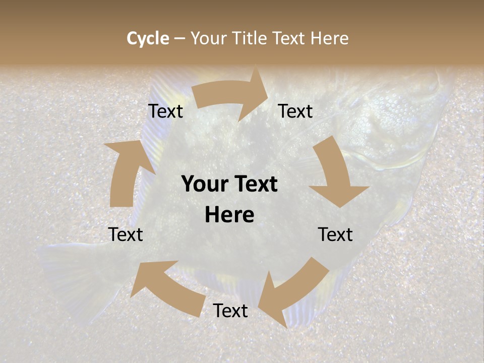 A Fish On The Sand With A Name Of Presentation PowerPoint Template
