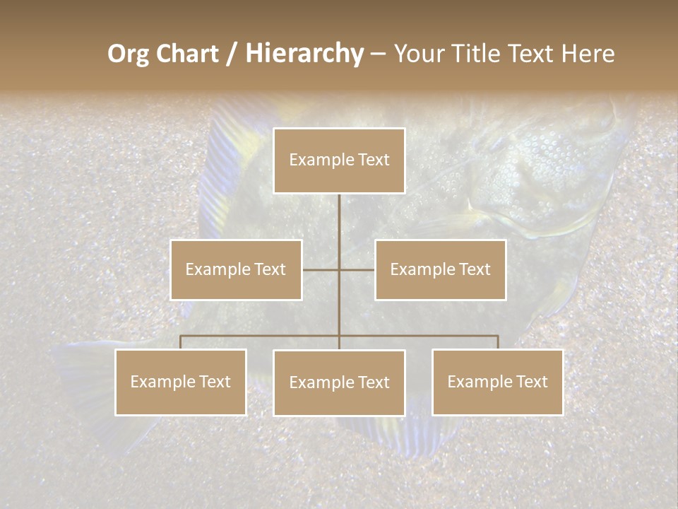 A Fish On The Sand With A Name Of Presentation PowerPoint Template