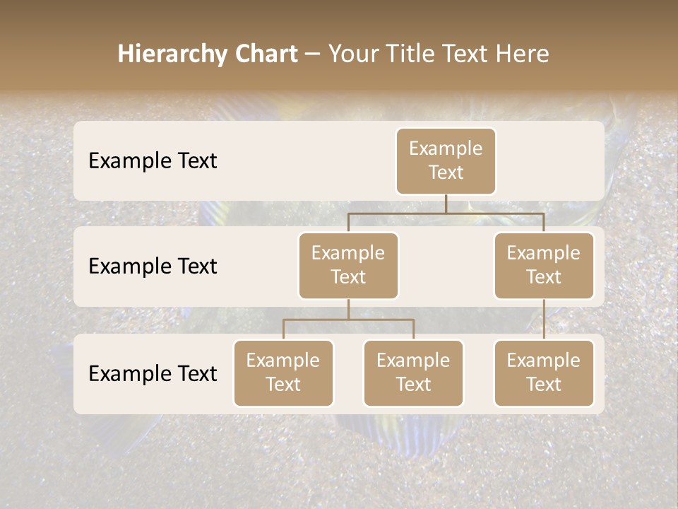A Fish On The Sand With A Name Of Presentation PowerPoint Template