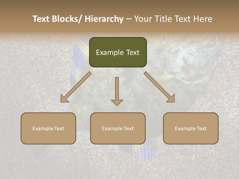 A Fish On The Sand With A Name Of Presentation PowerPoint Template