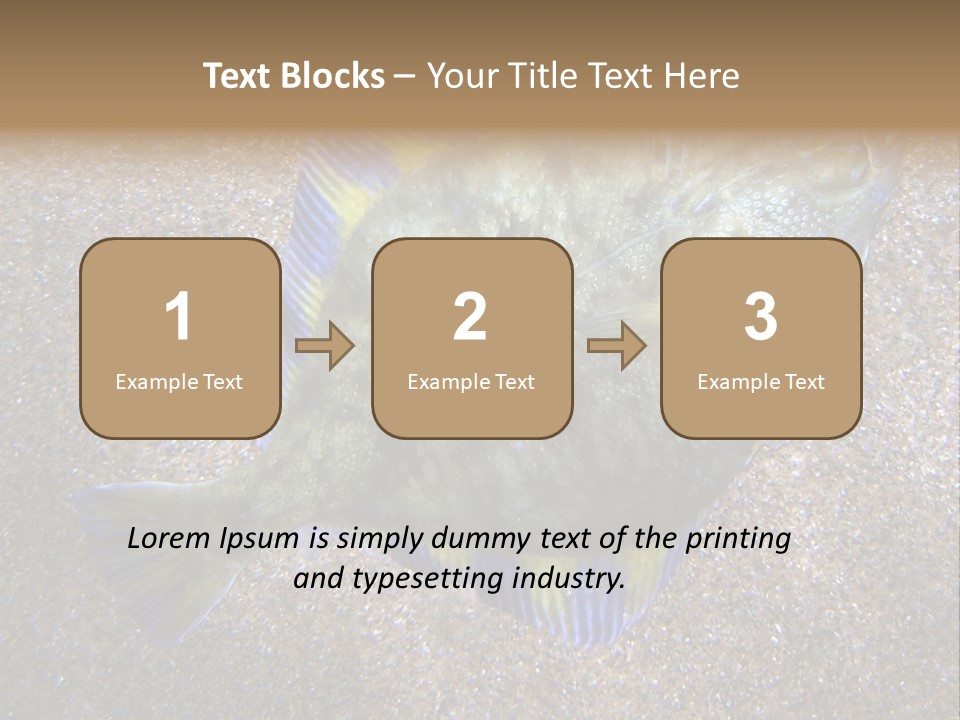 A Fish On The Sand With A Name Of Presentation PowerPoint Template