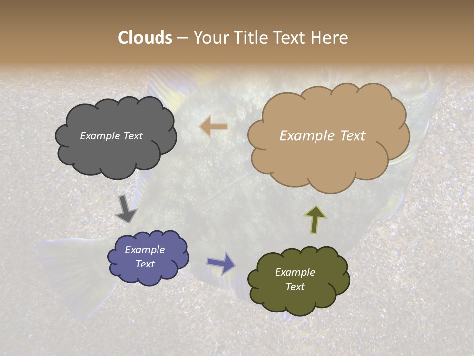 A Fish On The Sand With A Name Of Presentation PowerPoint Template