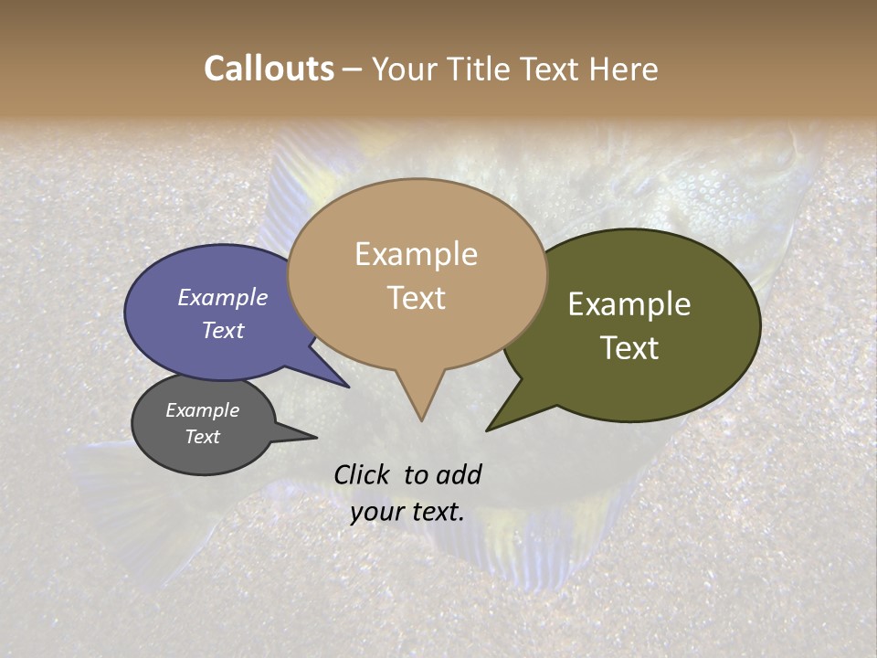 A Fish On The Sand With A Name Of Presentation PowerPoint Template