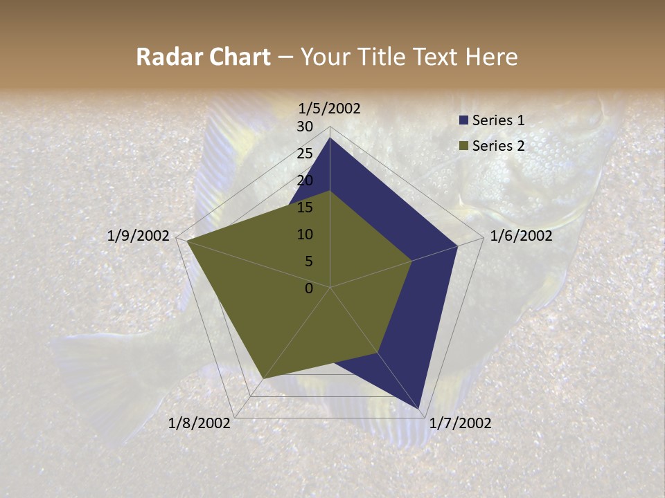 A Fish On The Sand With A Name Of Presentation PowerPoint Template