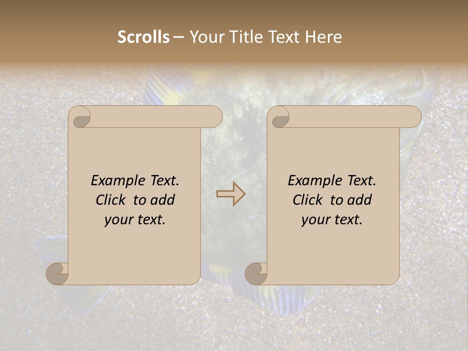 A Fish On The Sand With A Name Of Presentation PowerPoint Template
