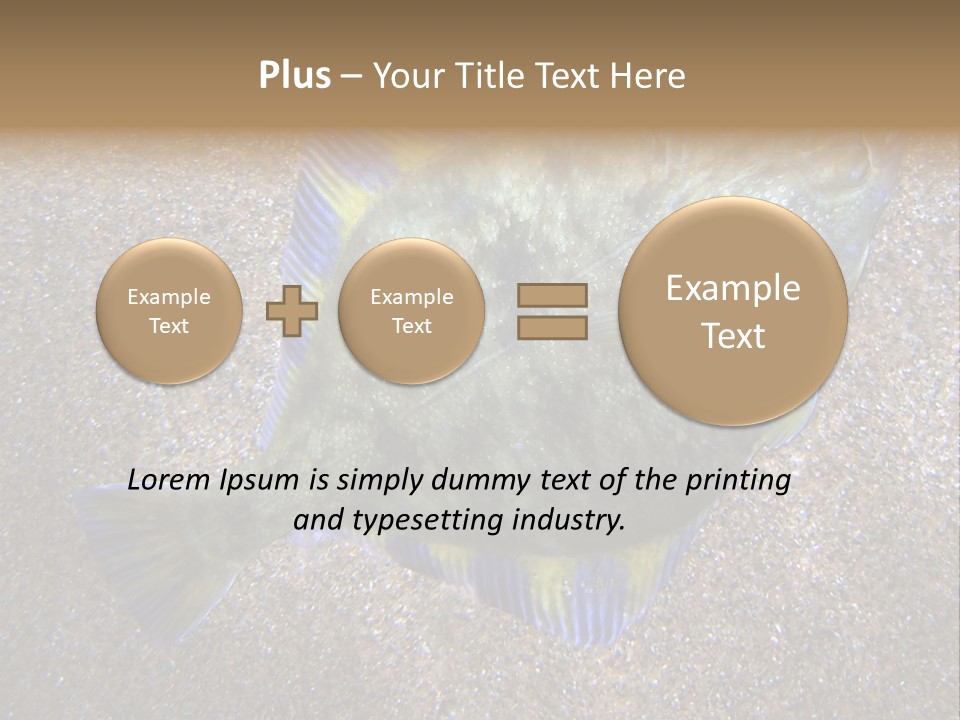 A Fish On The Sand With A Name Of Presentation PowerPoint Template