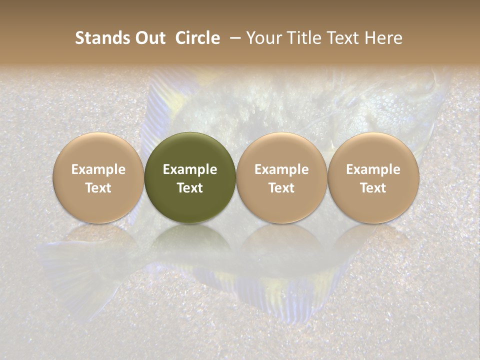 A Fish On The Sand With A Name Of Presentation PowerPoint Template