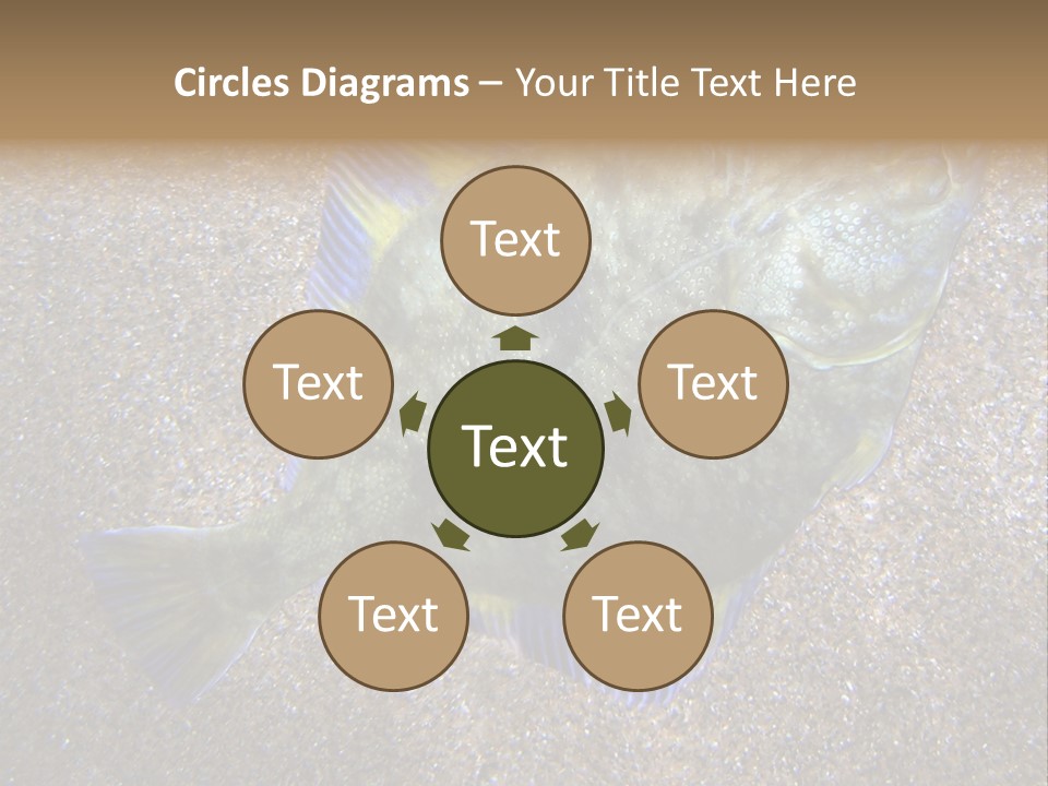 A Fish On The Sand With A Name Of Presentation PowerPoint Template