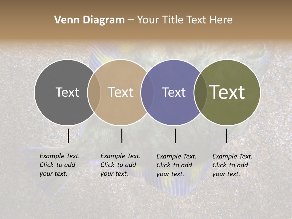 A Fish On The Sand With A Name Of Presentation PowerPoint Template