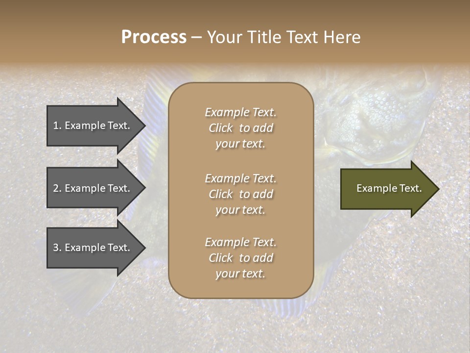 A Fish On The Sand With A Name Of Presentation PowerPoint Template